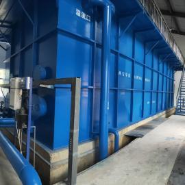 凈水新紀元 一體化凈水器，開啟全屋健康飲水新篇章